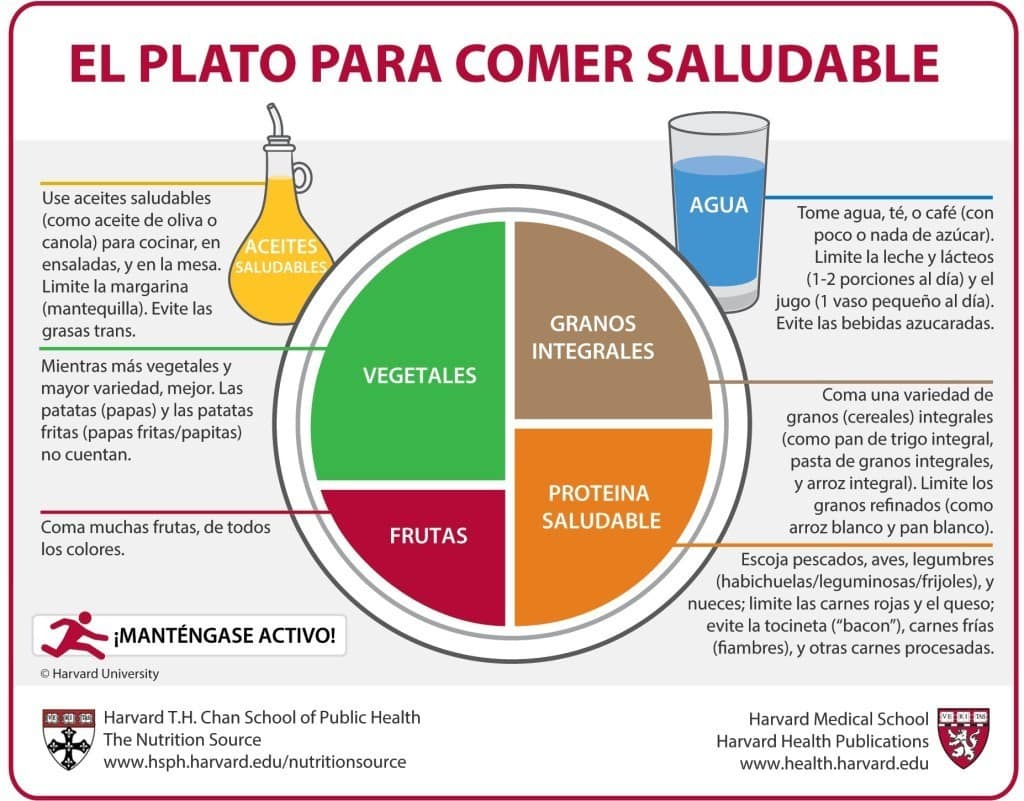 Plato para Comer Saludable